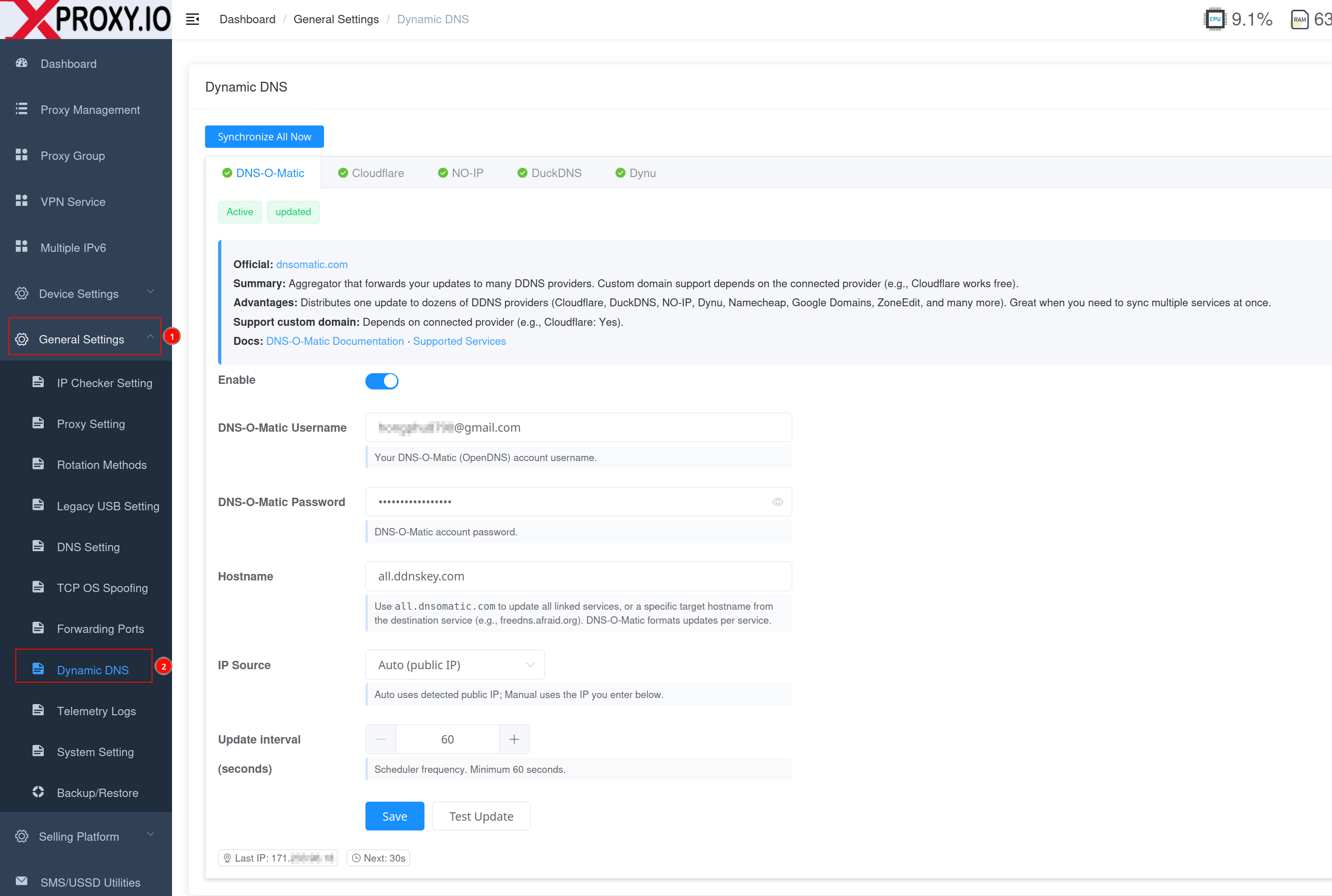 Dynamic DNS settings overview