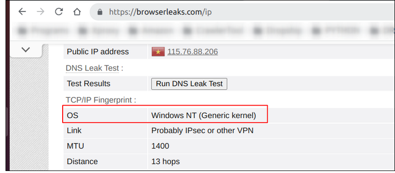 Testing TCP/OS fingerprint and leaks with BrowserLeaks