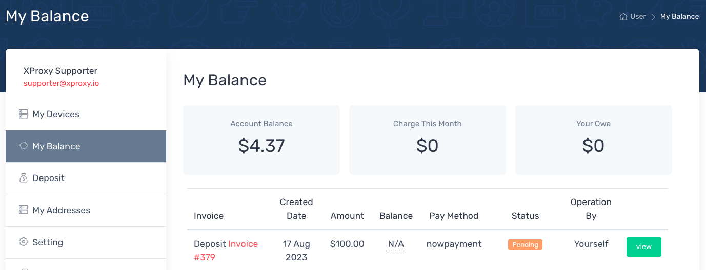 Nowpayment xproxy my balance
