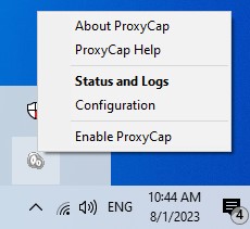 Enable ProxyCap and UDP Proxy ready